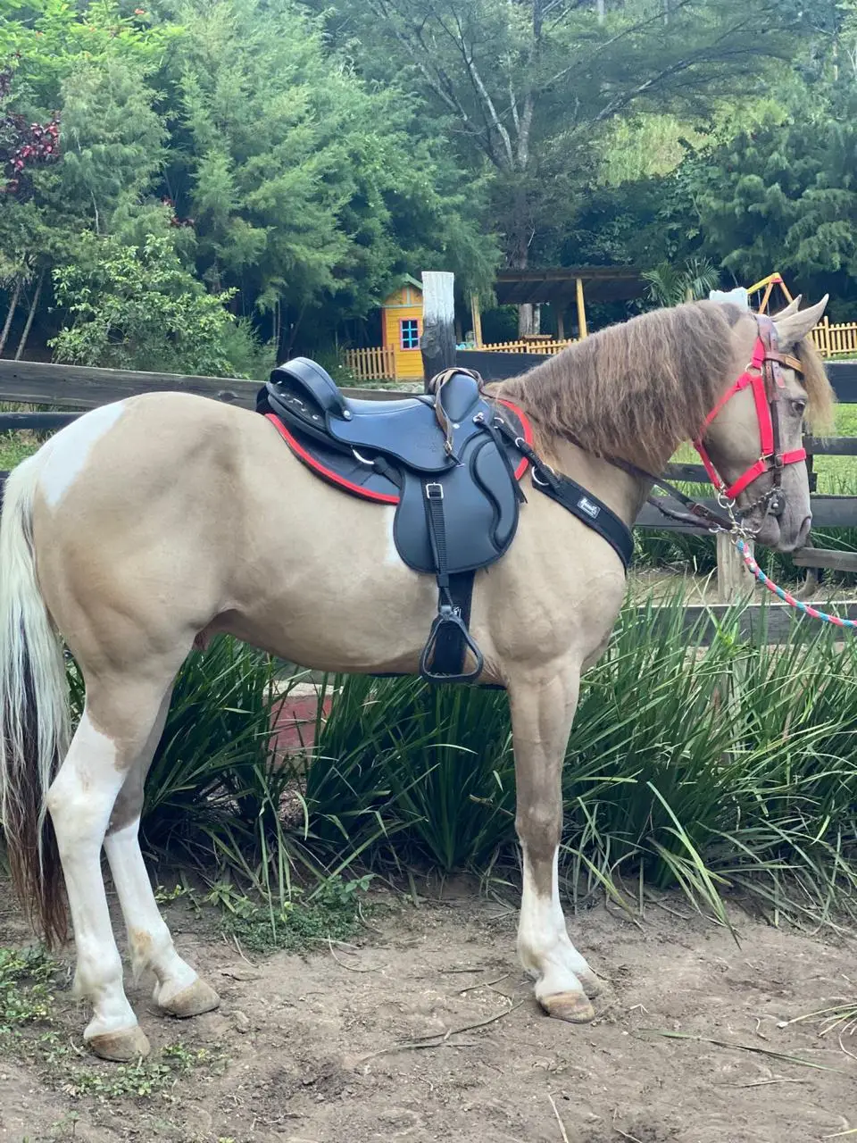 Image of Residencial Bosque del Eden 10