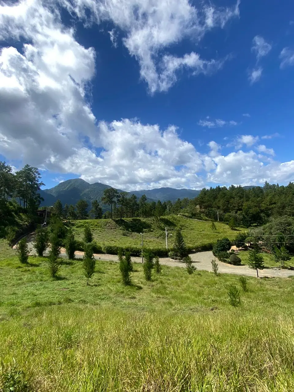 Image of Residencial Bosque del Eden 13