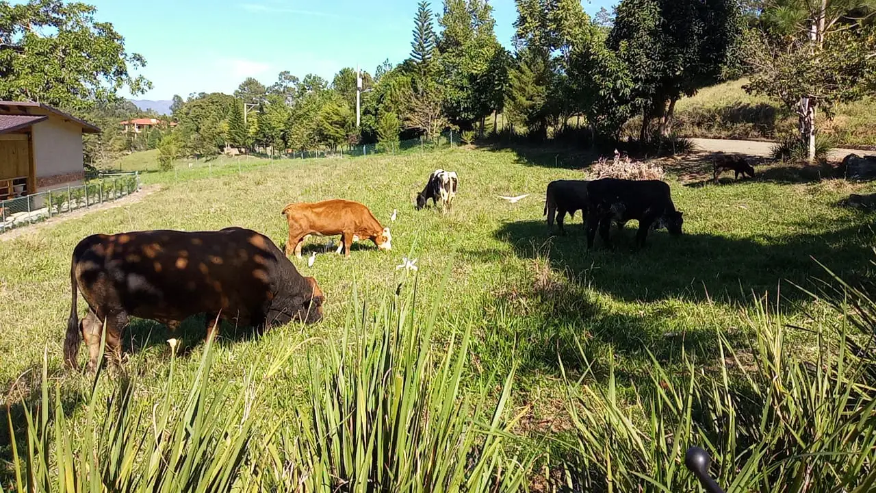 Image of Residencial Bosque del Eden 18