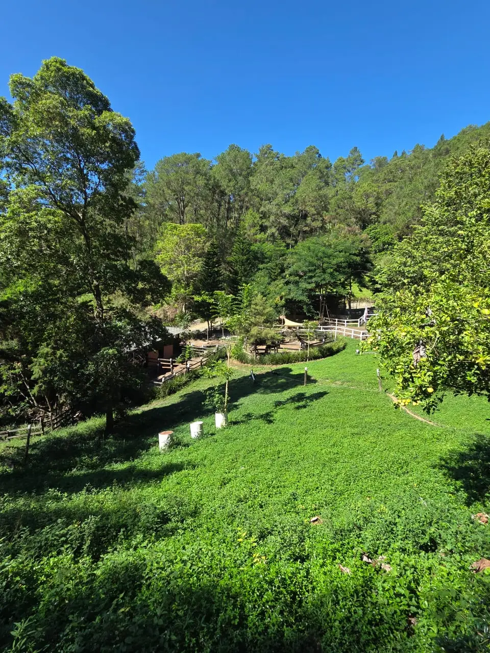 Image of Residencial Bosque del Eden 20