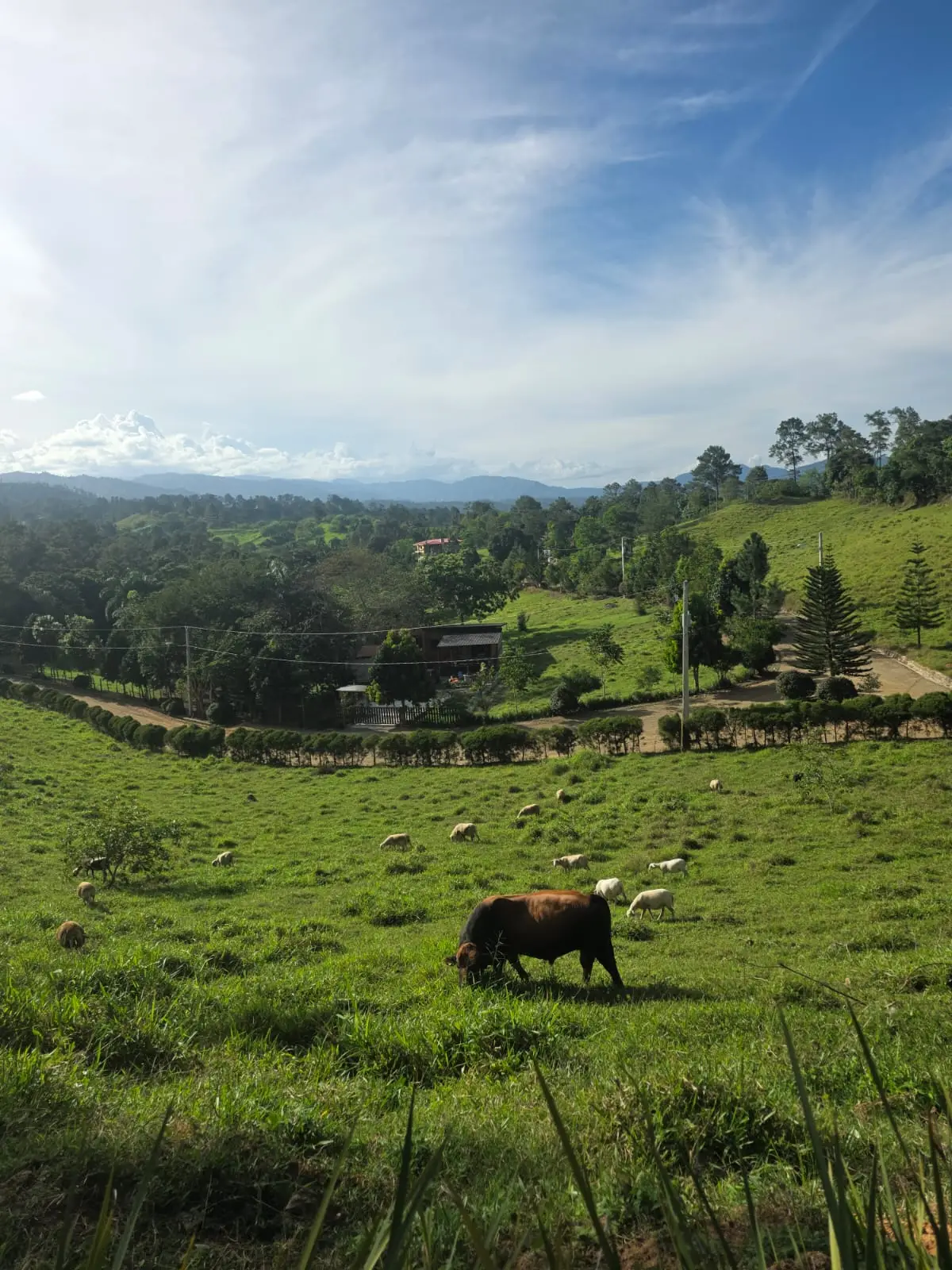 Image of Residencial Bosque del Eden 22