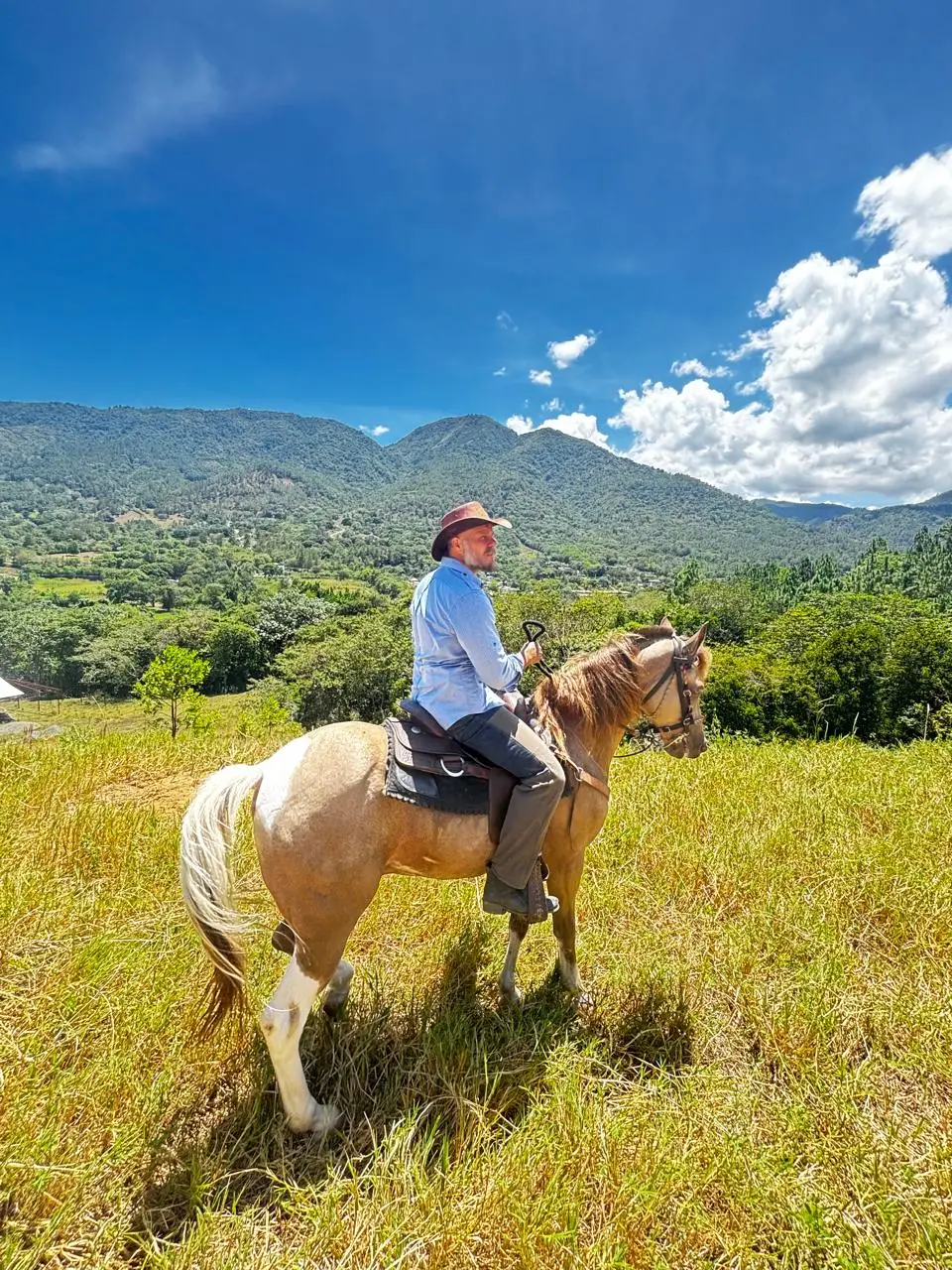 [image of bosque del eden]