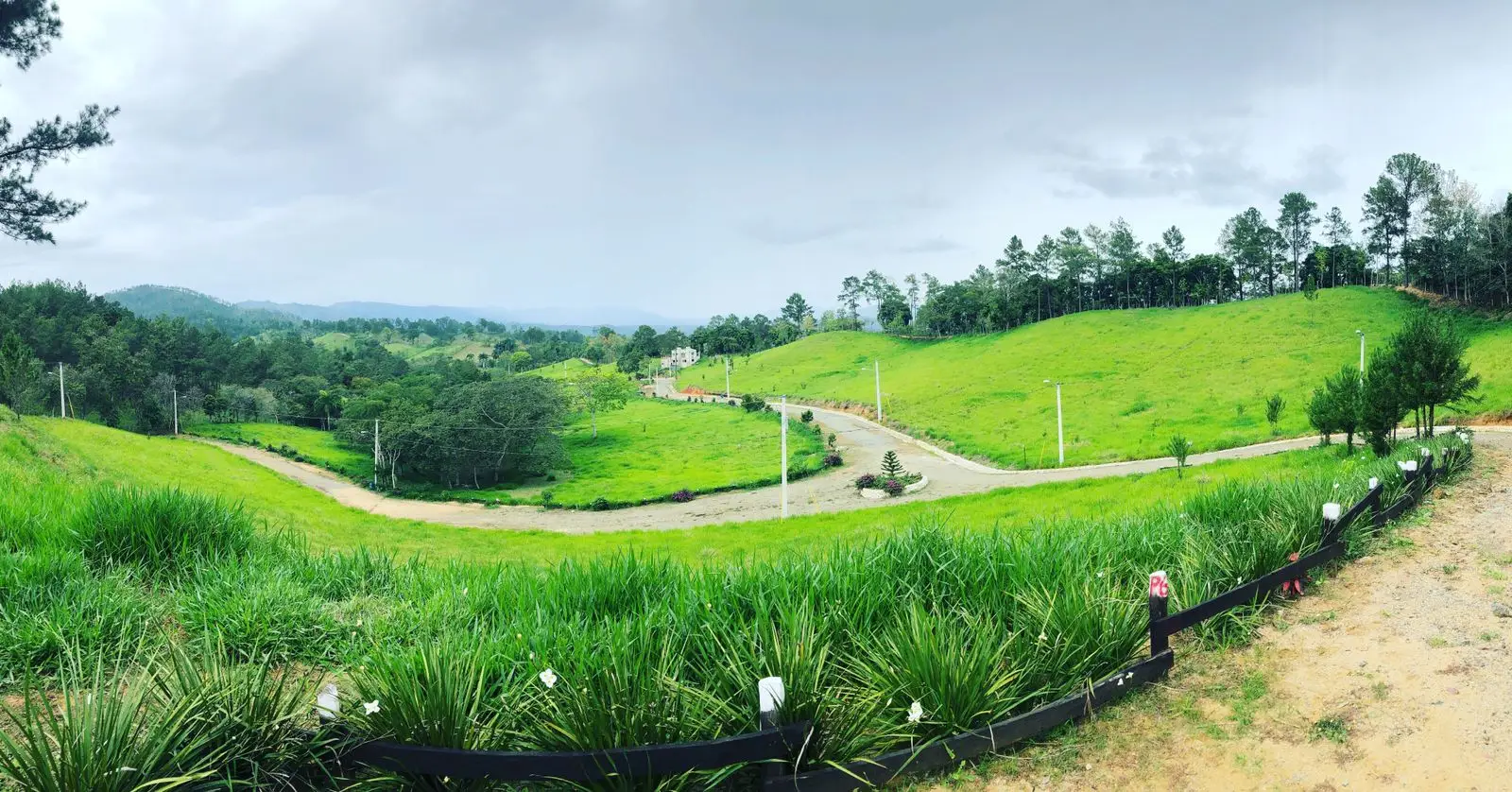 [image of bosque del eden]