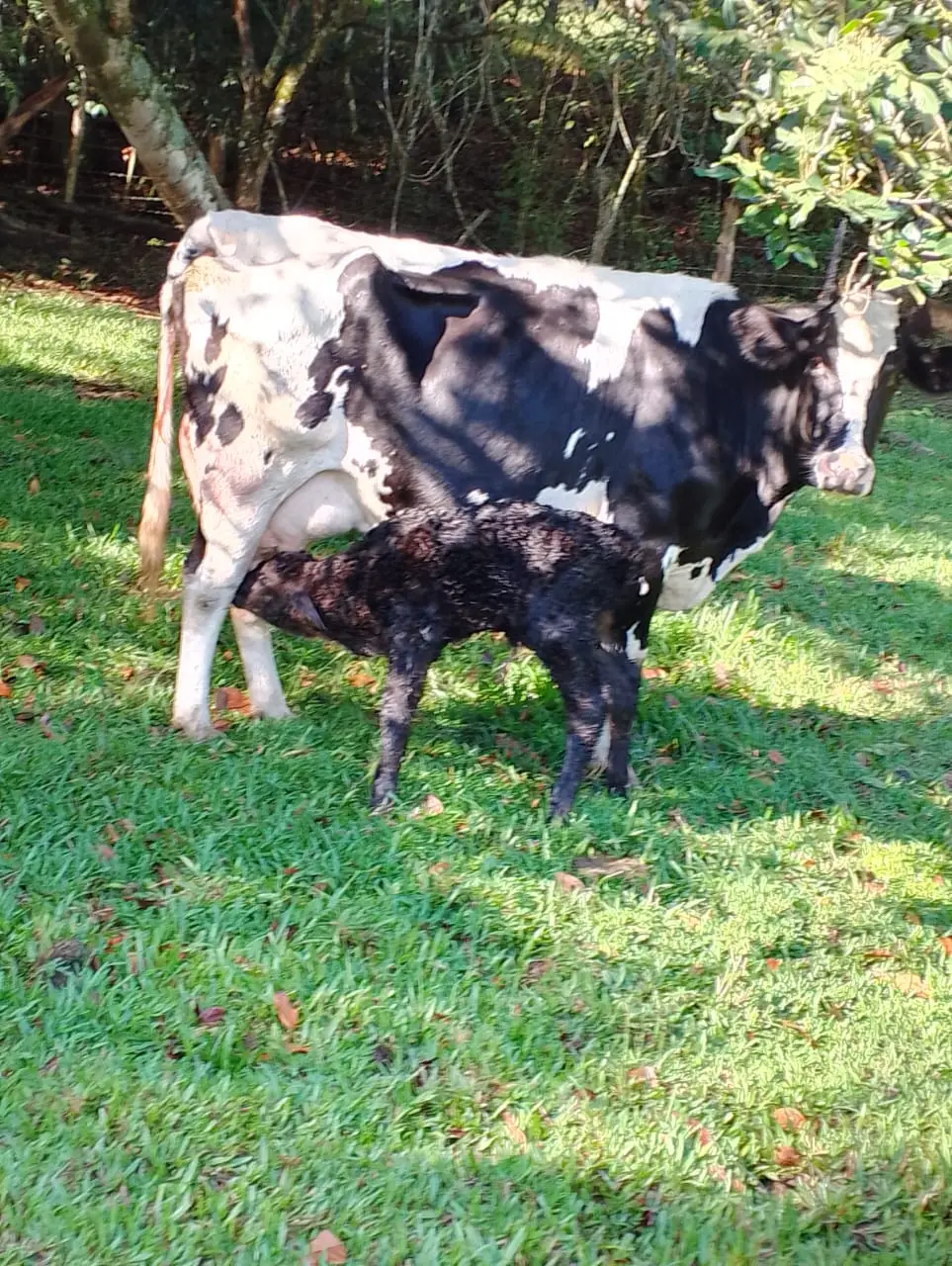 Image of Residencial Bosque del Eden Jarabacoa