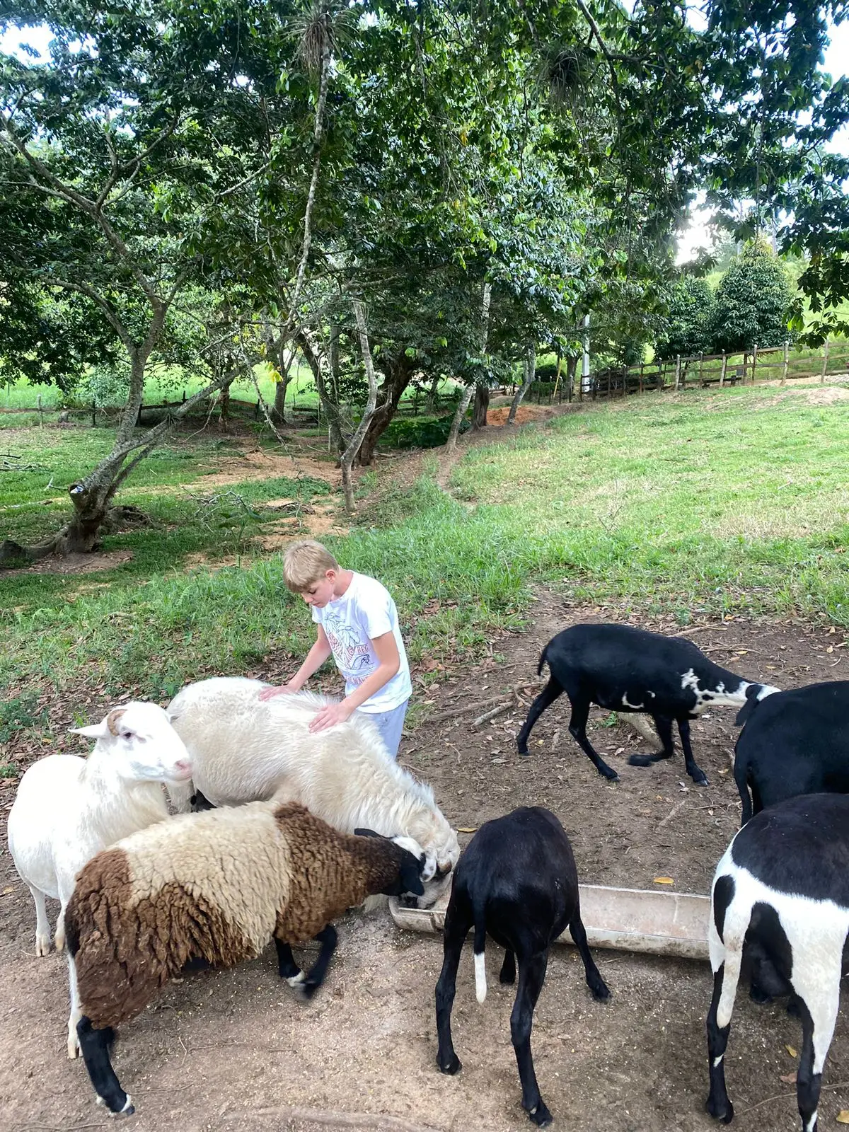 Image of Residencial Bosque del Eden Jarabacoa